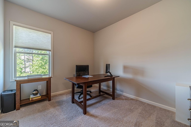 116 Blue Billed Xing, Jefferson, GA 30549 - home office with carpet flooring and baseboards