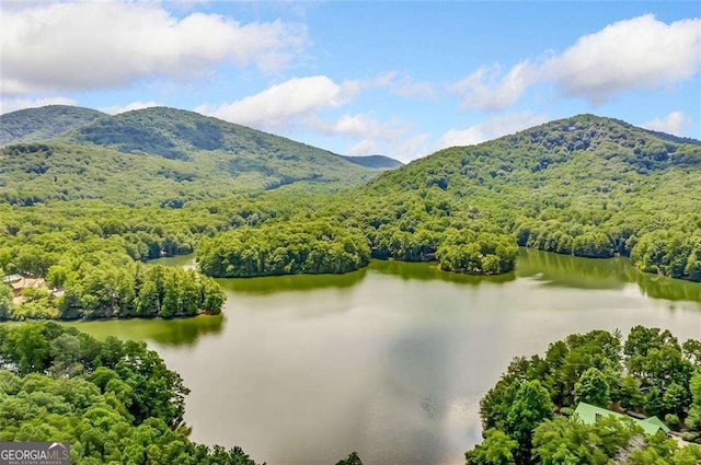 birds eye view of property with a water and mountain view and a view of trees