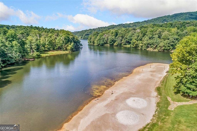 water view featuring a wooded view