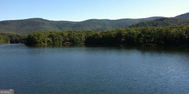 water view featuring a forest view and a mountain view