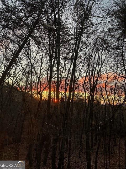 view of nature at dusk