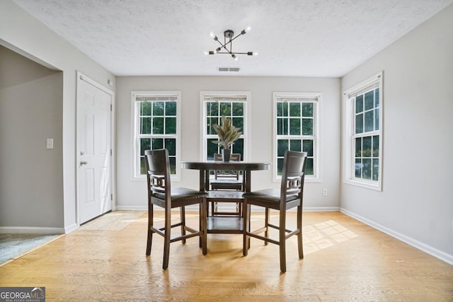 1314 Durham Ter, Mcdonough, GA 30252 - dining space featuring a chandelier, wood finished floors, plenty of natural light, and a textured ceiling
