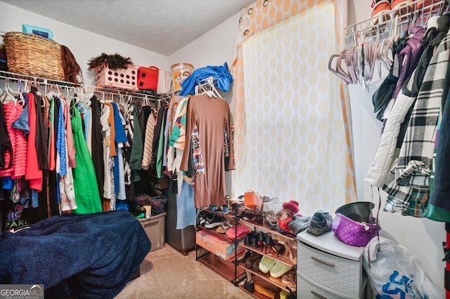 1314 Durham Ter, Mcdonough, GA 30252 - walk in closet featuring carpet