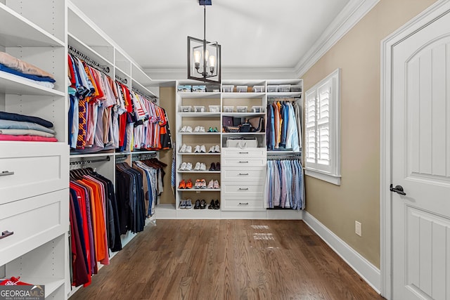 770 Tralee Dr, Fayetteville, GA 30215 - walk in closet featuring an inviting chandelier, visible vents, and wood finished floors