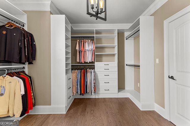 770 Tralee Dr, Fayetteville, GA 30215 - spacious closet featuring an inviting chandelier and wood finished floors