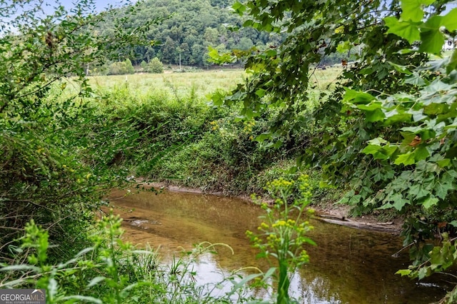view of nature