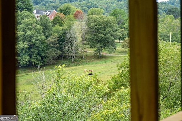 view of yard featuring a wooded view