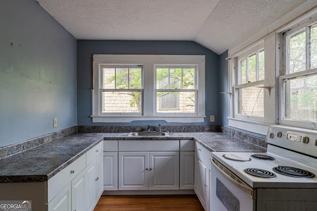 1388 Metropolitan Ave SE, Atlanta, GA 30316 - kitchen featuring a sink, a textured ceiling, vaulted ceiling, a wealth of natural light, and white range with electric stovetop