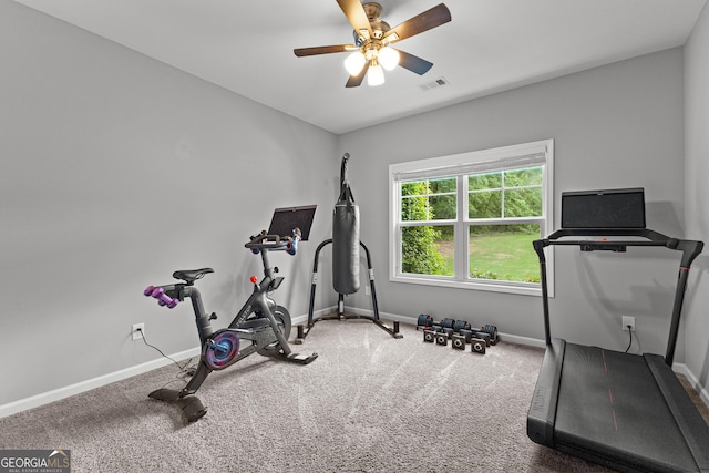 88 Carl Williams Rd, Senoia, GA 30276 - workout area with baseboards, ceiling fan, and carpet flooring