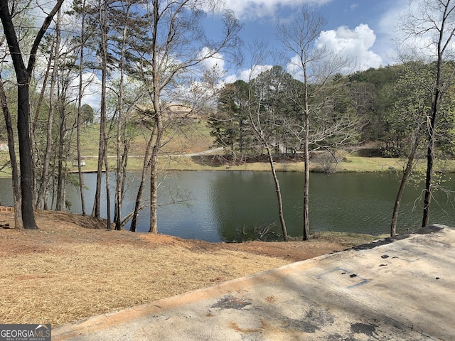81 Magnificent Way, Cleveland, GA 30528