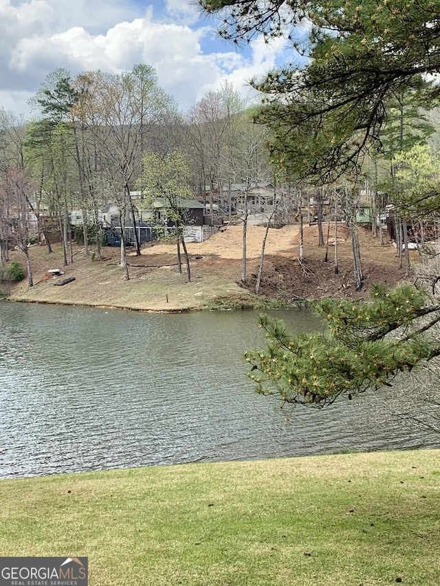 81 Magnificent Way, Cleveland, GA 30528