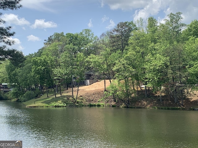 81 Magnificent Way, Cleveland, GA 30528