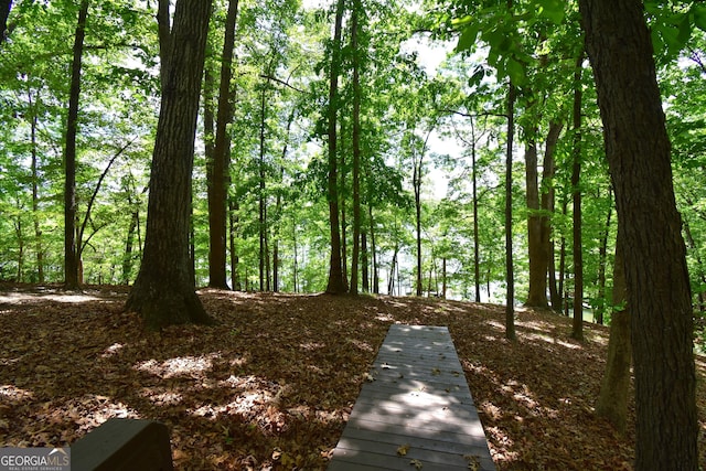 4056 Ryckeley Dr, Gainesville, GA 30504 - view of nature
