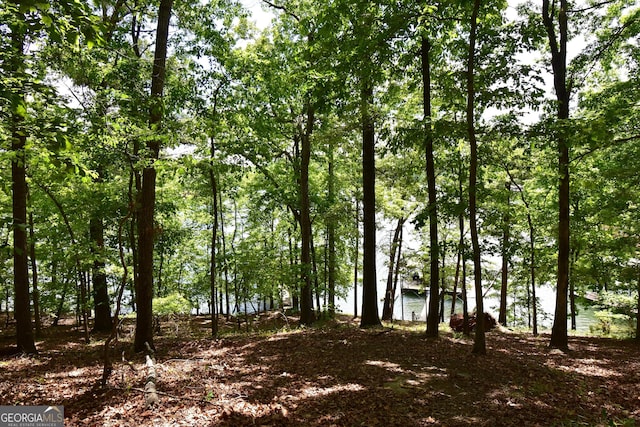 4056 Ryckeley Dr, Gainesville, GA 30504 - view of nature