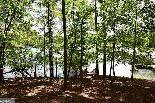4056 Ryckeley Dr, Gainesville, GA 30504 - property view of water