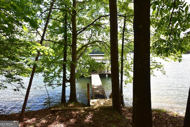 4056 Ryckeley Dr, Gainesville, GA 30504 - property view of water featuring a boat dock