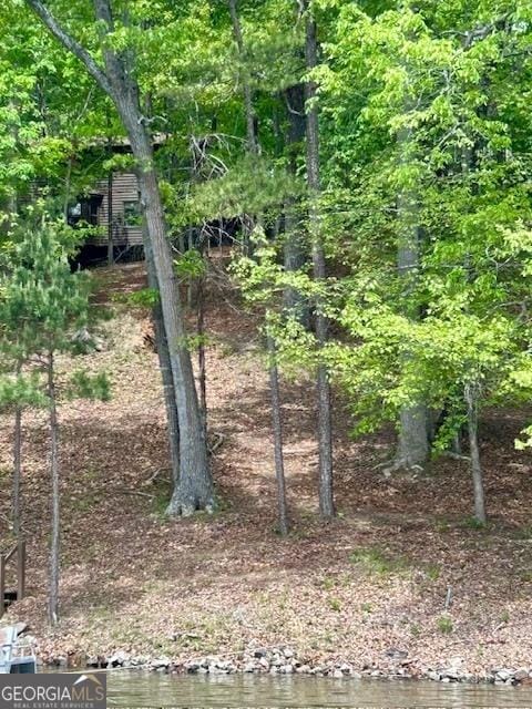 4056 Ryckeley Dr, Gainesville, GA 30504 - view of landscape