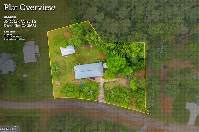 drone / aerial view