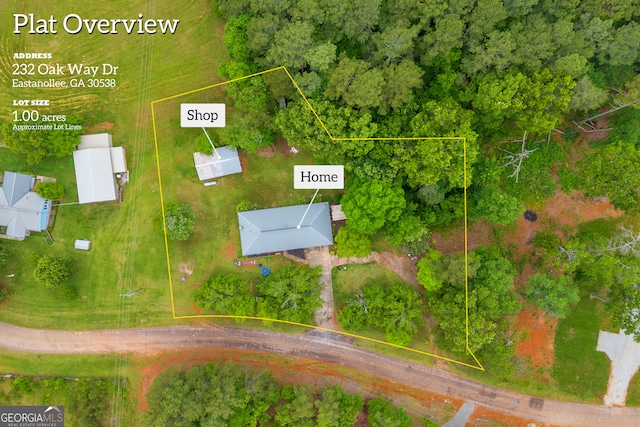 drone / aerial view