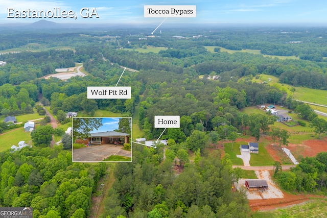 bird's eye view featuring a view of trees