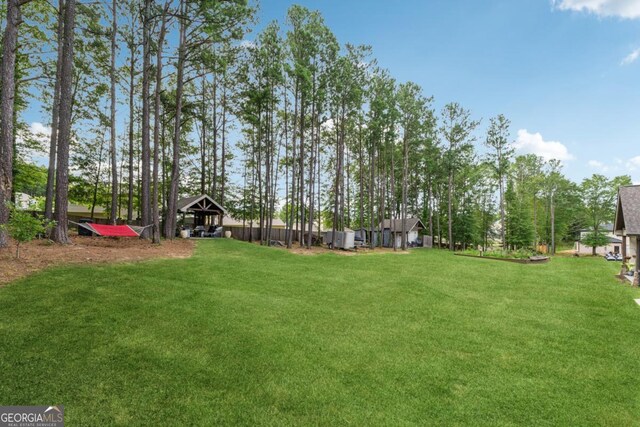852 Tom Miller Rd, Bethlehem, GA 30620 - view of yard