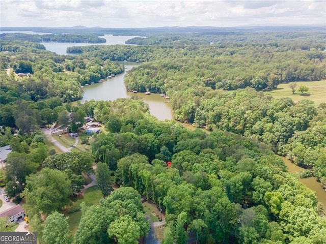 aerial view featuring a water view and a forest view