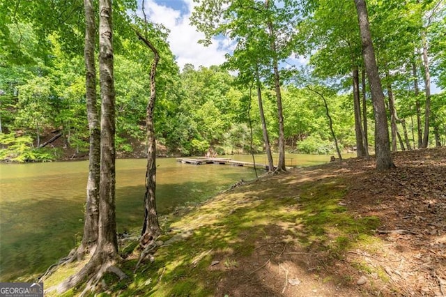 view of yard with a water view and a dock