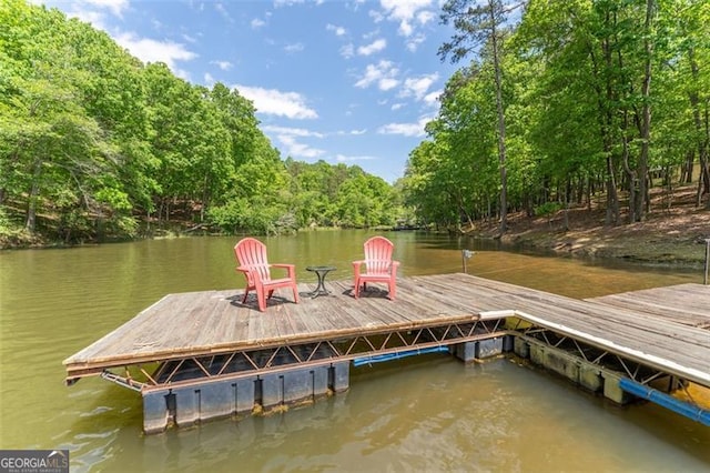 dock area with a water view