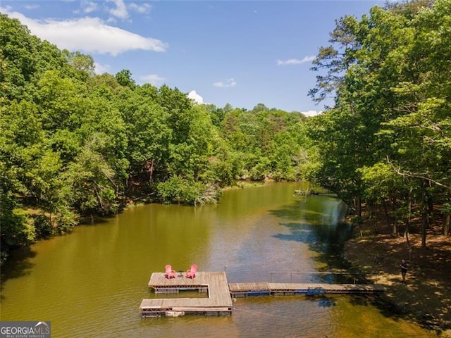 dock area with a water view and a view of trees