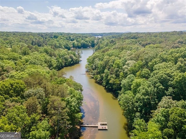 drone / aerial view featuring a water view and a view of trees