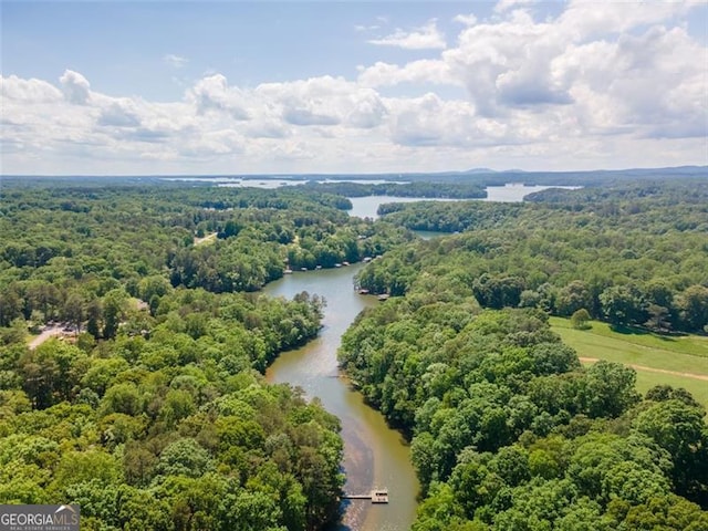 bird's eye view with a water view and a view of trees
