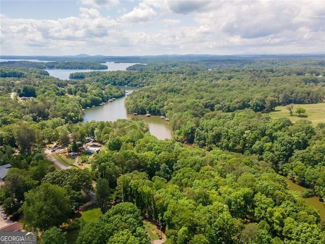 aerial view featuring a water view and a wooded view