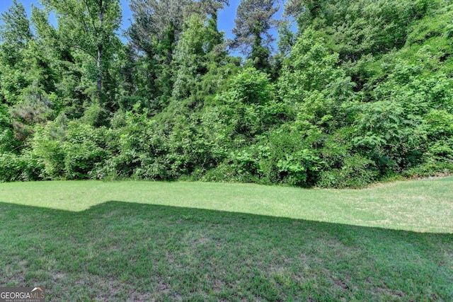 view of grassy yard