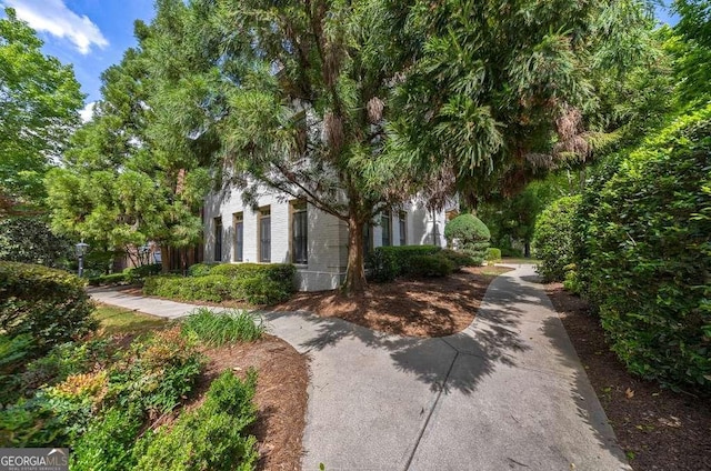 3127 Lenox Rd NE Unit 1, Atlanta, GA 30324 - view of home's community