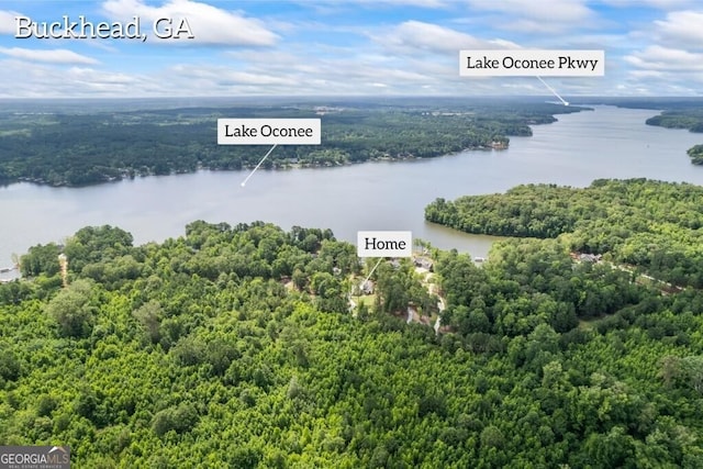 1301 Grayson Pointe Dr, Buckhead, GA 30625 - bird's eye view of a heavily wooded area and a nearby body of water