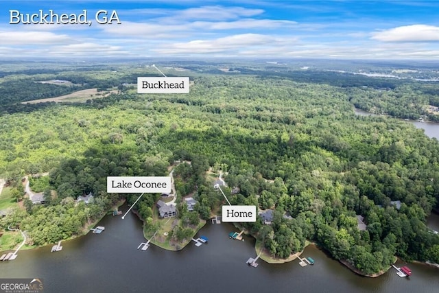 1301 Grayson Pointe Dr, Buckhead, GA 30625 - aerial view of property's location featuring a forest and a large body of water