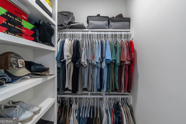 view of spacious closet