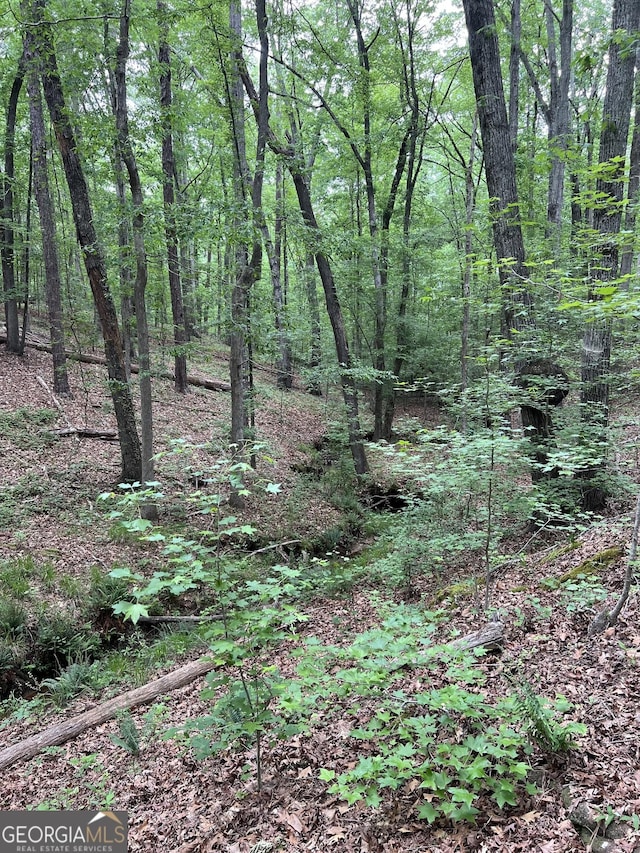 view of nature with a view of trees