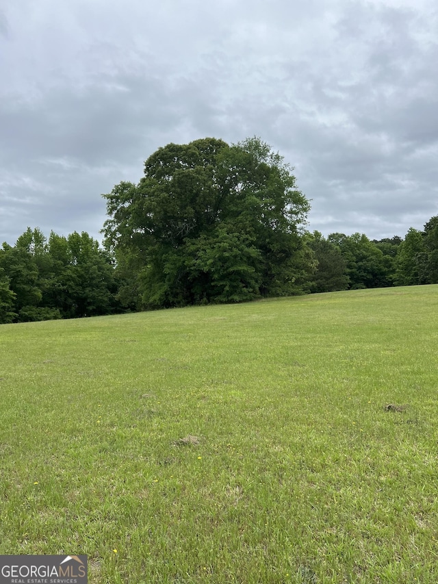 view of yard with a view of trees