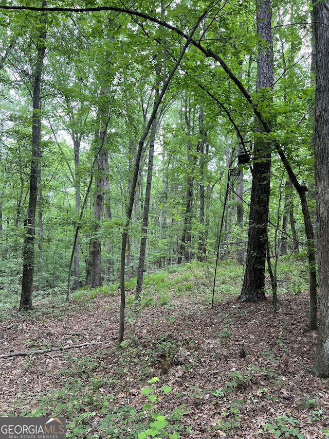 view of landscape featuring a forest view
