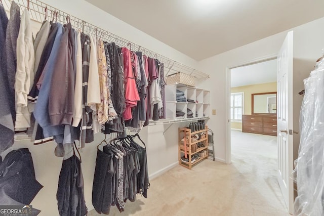 spacious closet featuring carpet