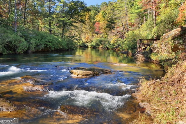 505 River Ridge Rd, Clarkesville, GA 30523 - water view featuring a view of trees