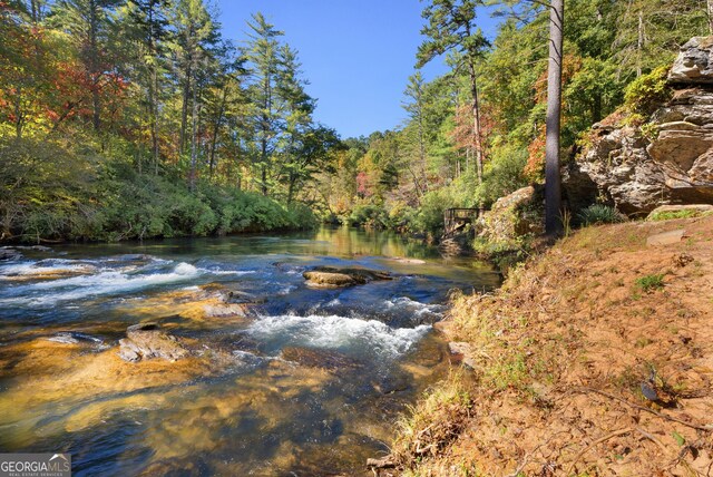 505 River Ridge Rd, Clarkesville, GA 30523 - property view of water featuring a forest view
