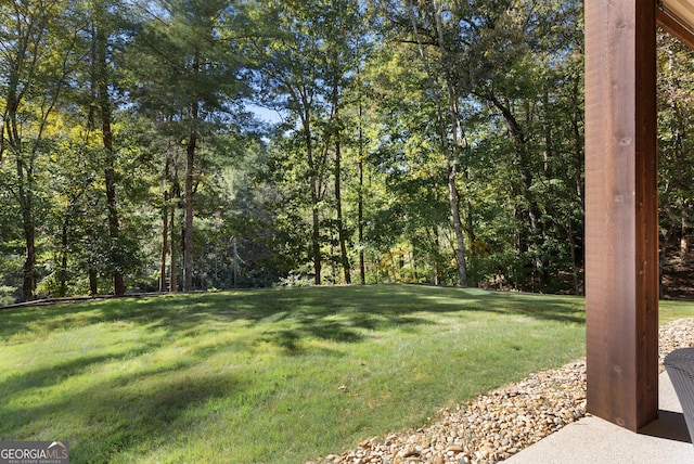 505 River Ridge Rd, Clarkesville, GA 30523 - view of yard