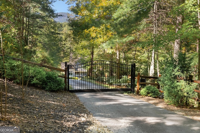 505 River Ridge Rd, Clarkesville, GA 30523 - view of gate with a forest view