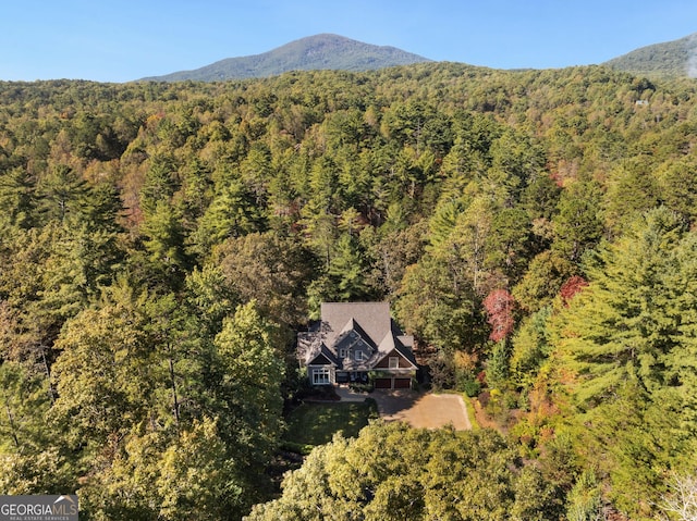 505 River Ridge Rd, Clarkesville, GA 30523 - bird's eye view with a forest view and a mountain view