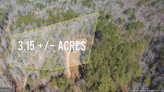 164 Delilah Ln, Lakemont, GA 30552 - bird's eye view