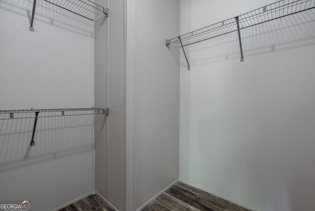 walk in closet featuring dark wood-type flooring