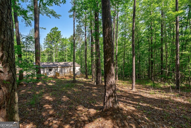 view of yard with a wooded view
