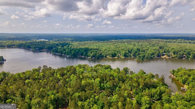 birds eye view of property featuring a water view and a forest view